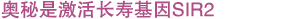 秘密は長寿遺伝子サーチュイン