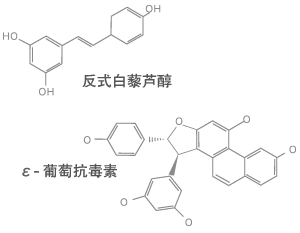成分
