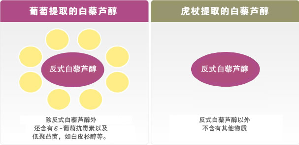 葡萄和虎杖提取物比较