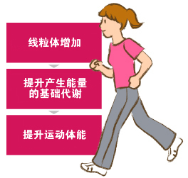 運動機能の向上イメージ