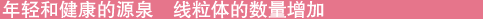 年轻和健康的源泉