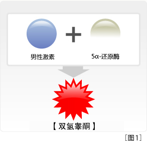 ［図１］ジヒドロテストロンの図説
