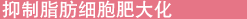 脂肪成分の肥大化を抑制する