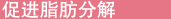 脂肪分解を促進する