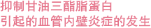TG-richリポ酸による血管内炎症反応を抑制する 