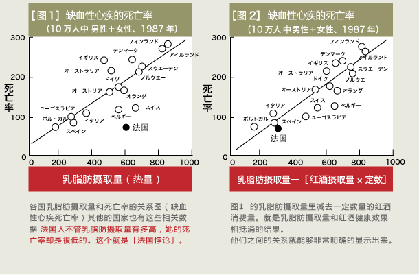 フレンチパラドックスの図